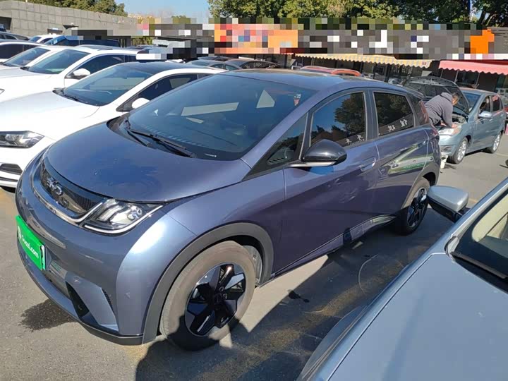 BYD Dolphin 2025 2025款 420km 自由版