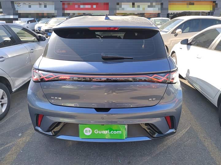 BYD Dolphin 2025 2025款 420km 自由版