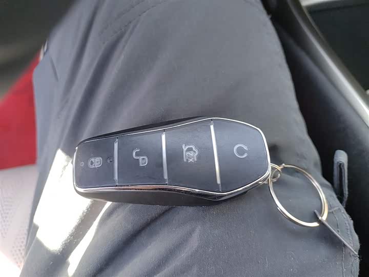 BYD Dolphin 2025 2025款 420km 自由版