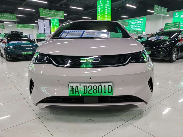 BYD Dolphin 2025 2025款 智驾版 420km 自由版