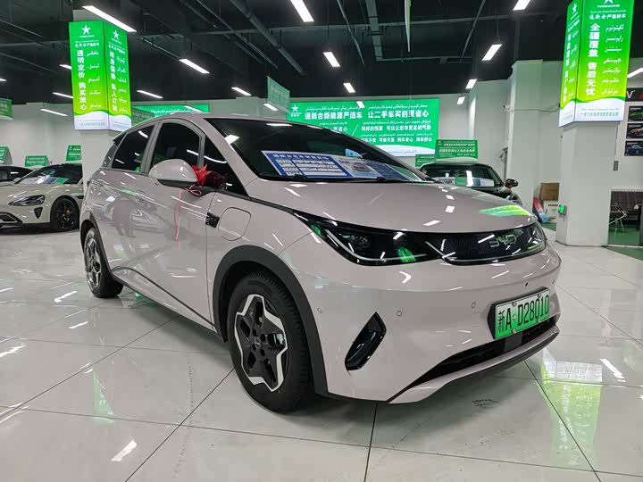 BYD Dolphin 2025 2025款 智驾版 420km 自由版