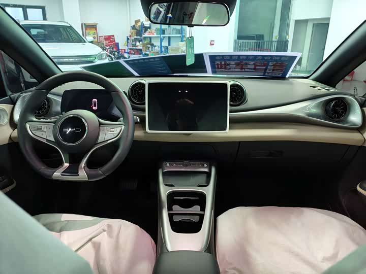 BYD Dolphin 2025 2025款 智驾版 420km 自由版