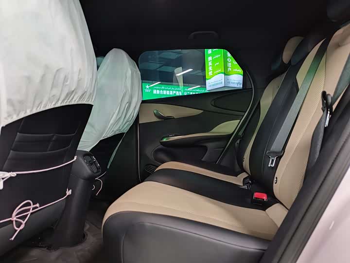 BYD Dolphin 2025 2025款 智驾版 420km 自由版