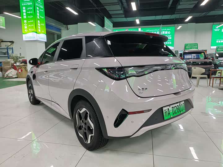 BYD Dolphin 2025 2025款 智驾版 420km 自由版