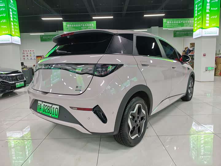 BYD Dolphin 2025 2025款 智驾版 420km 自由版