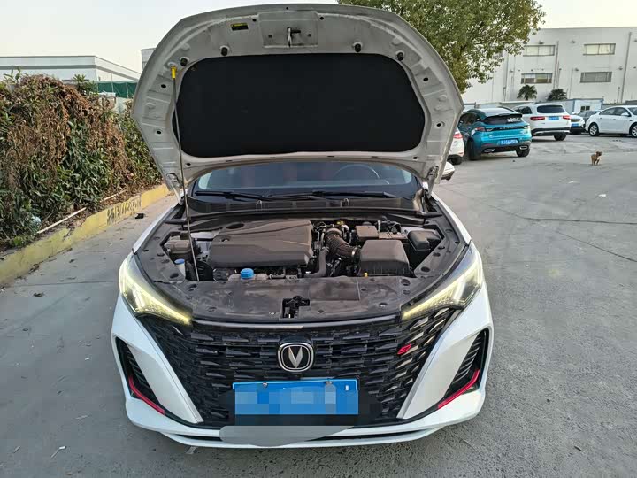 Changan Eado Plus 2024 2024款 PLUS 蓝鲸NE 1.4T GDI DCT高能版