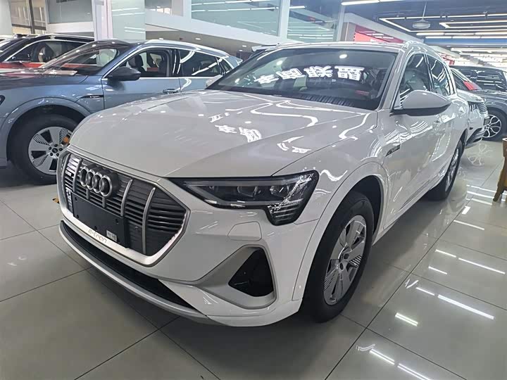 Audi e-tron 2021 2021款 50 quattro 豪华型