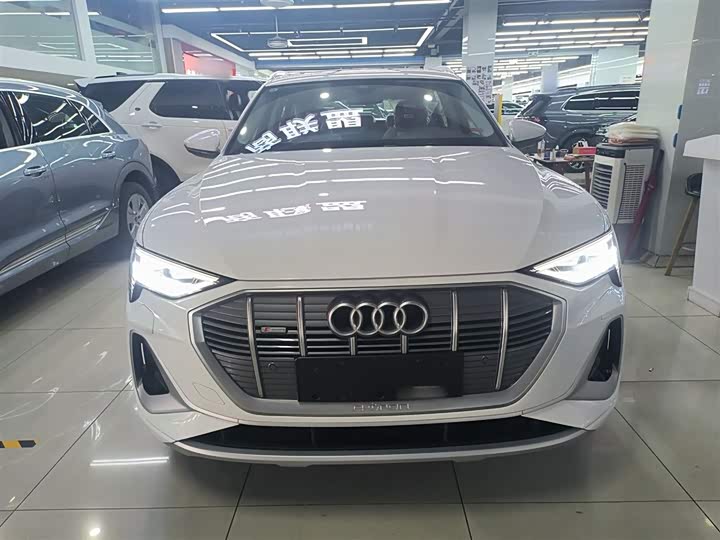 Audi e-tron 2021 2021款 50 quattro 豪华型