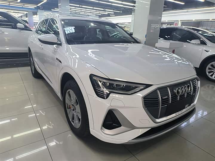 Audi e-tron 2021 2021款 50 quattro 豪华型