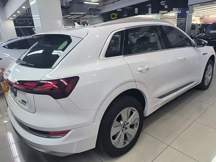 Audi e-tron 2021 2021款 50 quattro 豪华型