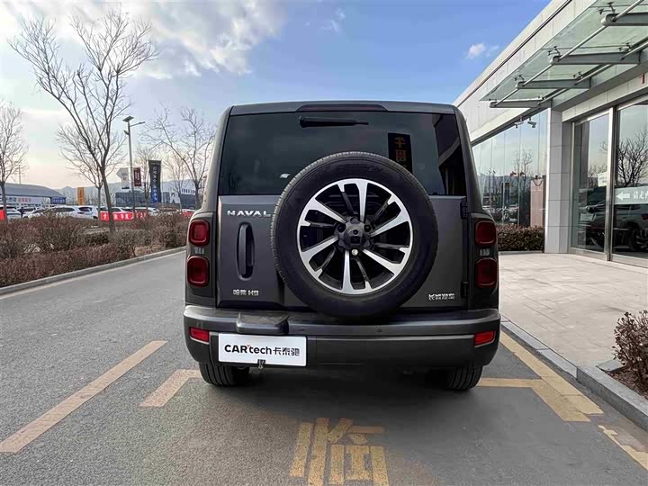 Haval H9 2024 2024款 2.0T 汽油四驱极境版