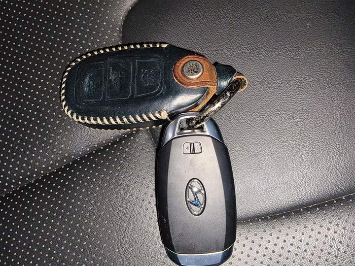 Hyundai Santa Fe 2020 2020款 380 TGDi 自动两驱GLS豪华版