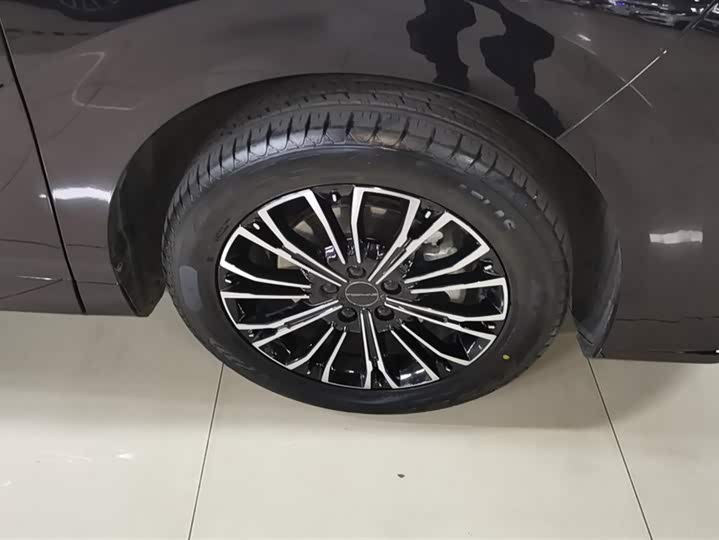 Dongfeng Forthing Xinghai V9 2024 2024款 1.5TD 200km 青云梯系列 尊贵型