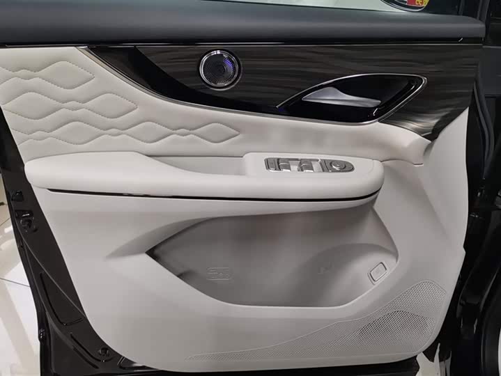 Dongfeng Forthing Xinghai V9 2024 2024款 1.5TD 200km 青云梯系列 尊贵型