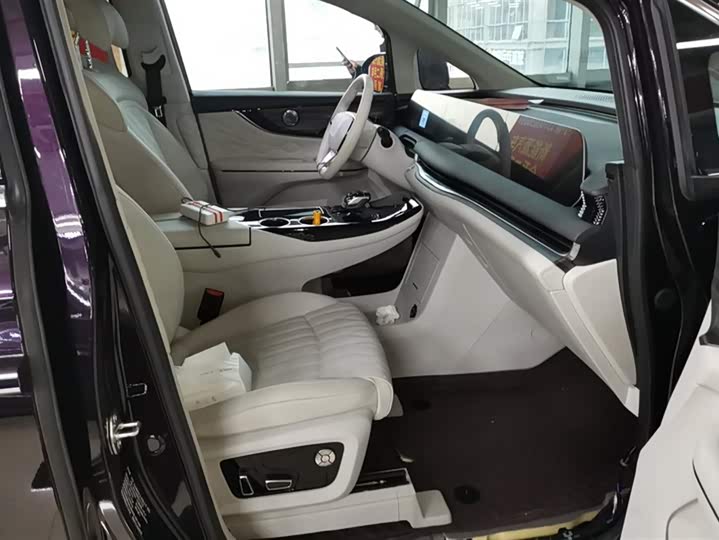 Dongfeng Forthing Xinghai V9 2024 2024款 1.5TD 200km 青云梯系列 尊贵型