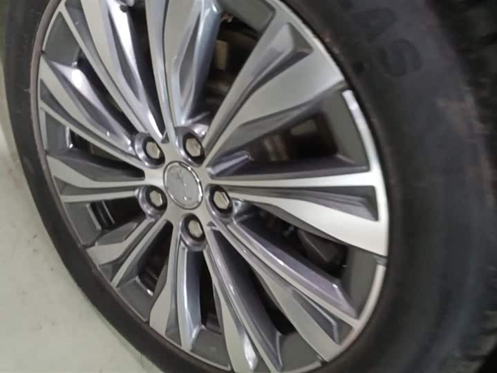 Hongqi E-QM5 2024 2024款 610km PLUS