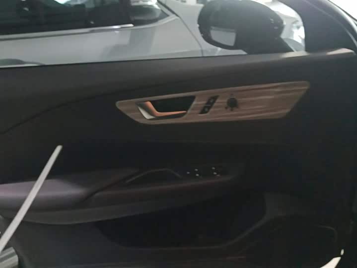 Hongqi E-QM5 2024 2024款 610km PLUS