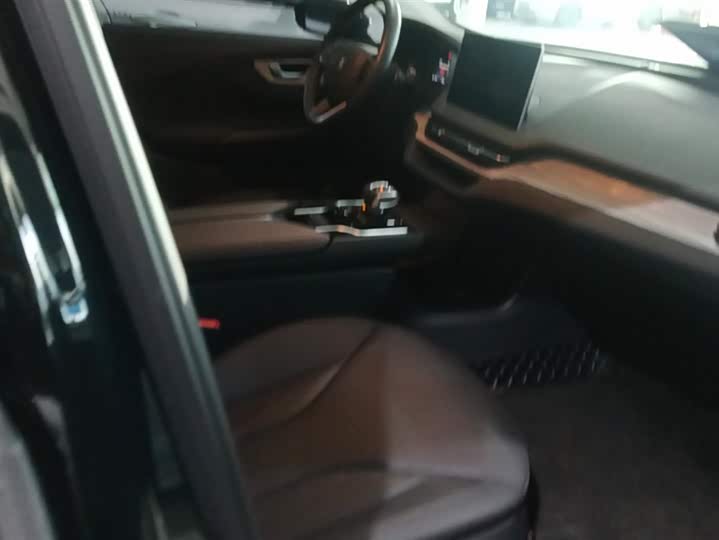 Hongqi E-QM5 2024 2024款 610km PLUS