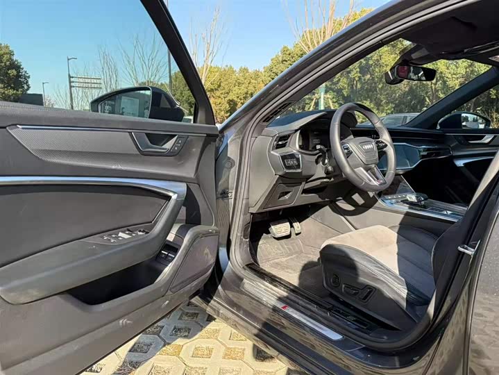 Audi A6L Hybrid 2020 2020款 55 TFSI e quattro