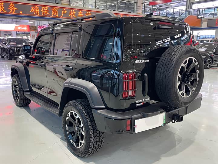 Tank 300 Hybrid 2025 2025款 Hi4-T 37.1kWh