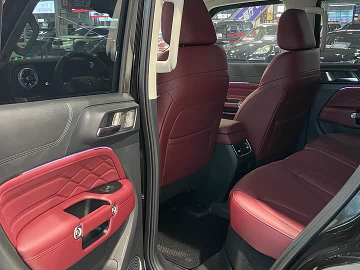 Tank 300 Hybrid 2025 2025款 Hi4-T 37.1kWh