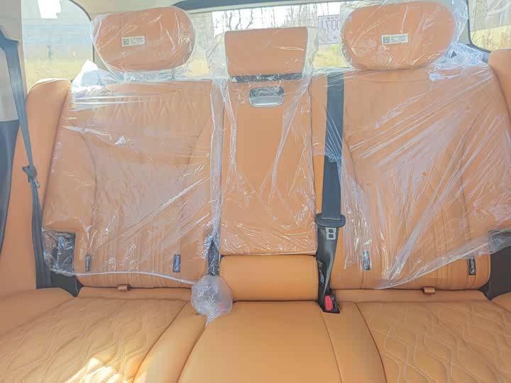 Tank 500 Hybrid 2026 2026款 Hi4-Z 智享版