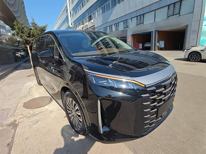 BYD Xia 2025 2025款 DM-i 1.5T 180km 超越型