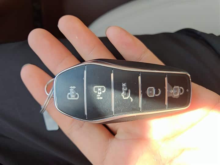 BYD Xia 2025 2025款 DM-i 1.5T 180km 超越型