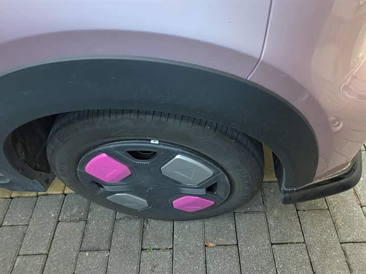 Geely Galaxy Panda Mini 2025 2025款 210km 熊猫卡丁