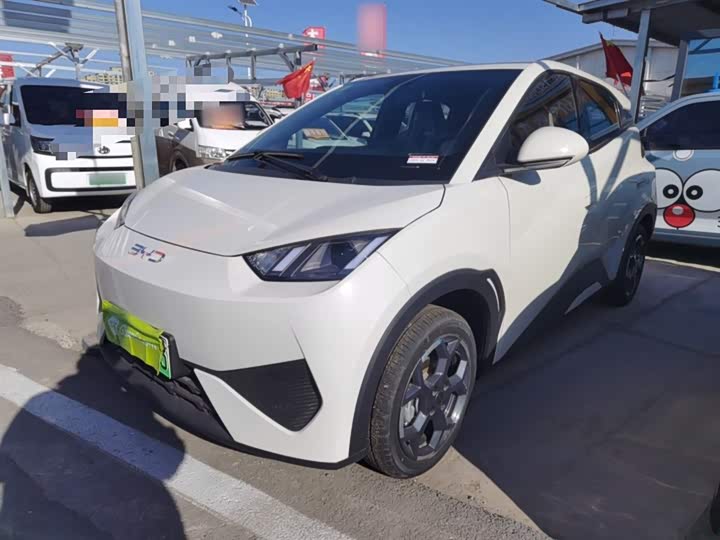 BYD Seagull 2025 2025款 智驾版 405km 自在版