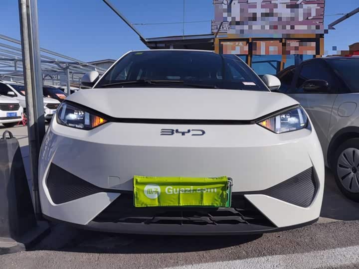 BYD Seagull 2025 2025款 智驾版 405km 自在版