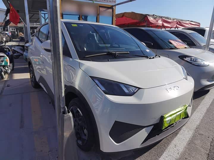 BYD Seagull 2025 2025款 智驾版 405km 自在版