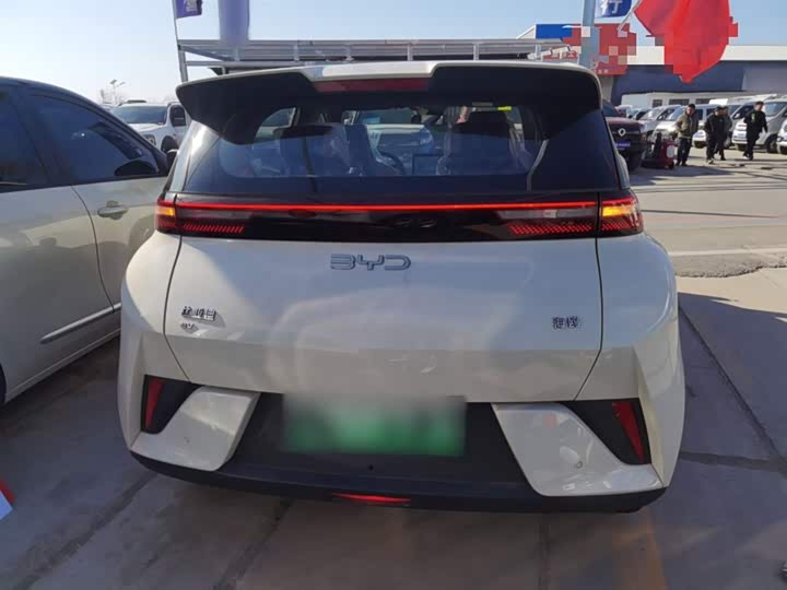 BYD Seagull 2025 2025款 智驾版 405km 自在版