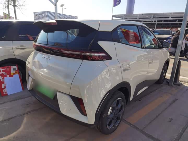 BYD Seagull 2025 2025款 智驾版 405km 自在版