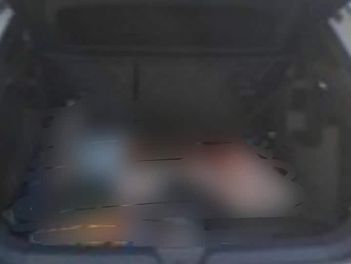 Volkswagen ID.4 X 2025 2025款 聪明款 纯净智享版