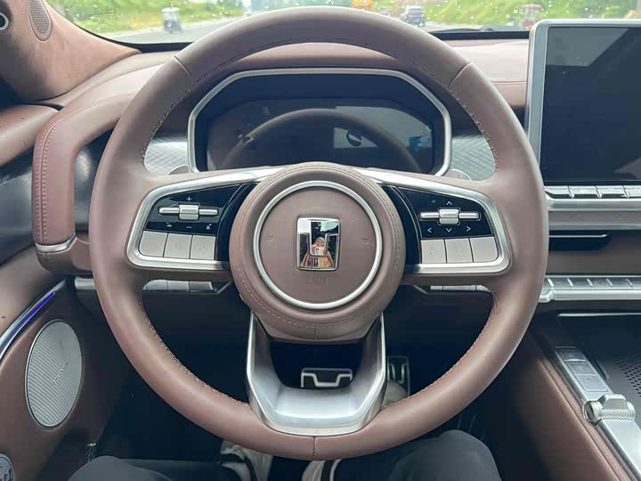 Tank 700 Hybrid 2024 2024款 Hi4-T 极致版