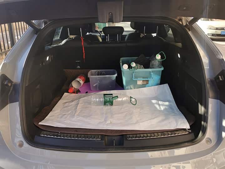 Hozon S Hunting 2024 2024款 纯电510 标准版