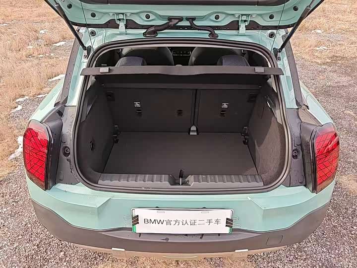 Mini Aceman 2024 2024款 SE 艺术家