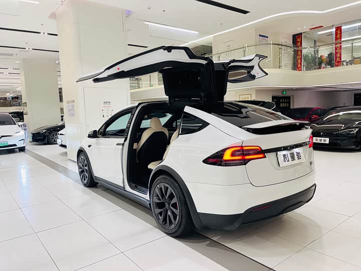 Tesla Model X 2023 2023款 三电机全轮驱动 Plaid版