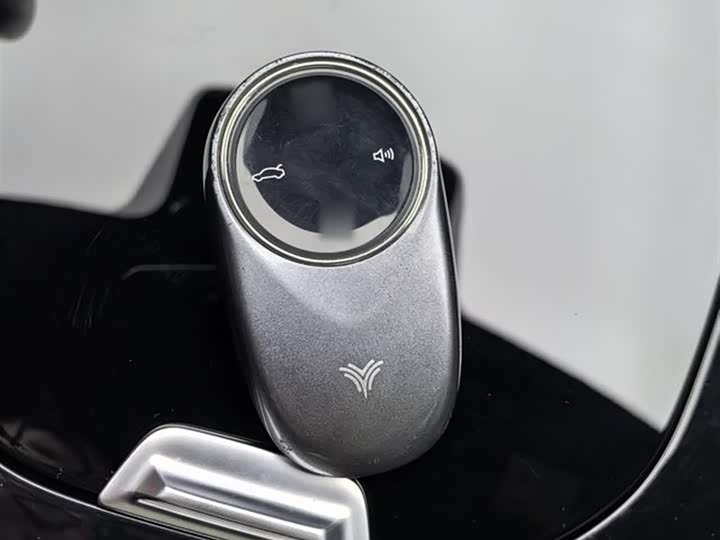 Hozon S 2023 2023款 纯电 520km 后驱Lite版