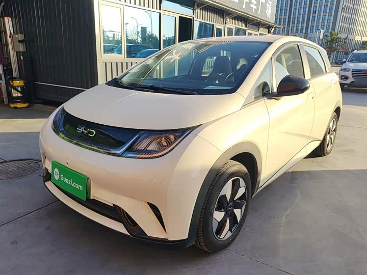 BYD Dolphin 2025 2025款 智驾版 420km 自由版