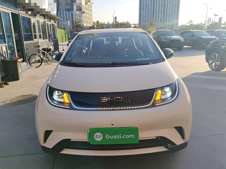 BYD Dolphin 2025 2025款 智驾版 420km 自由版