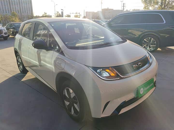 BYD Dolphin 2025 2025款 智驾版 420km 自由版