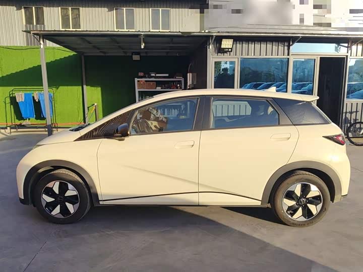 BYD Dolphin 2025 2025款 智驾版 420km 自由版