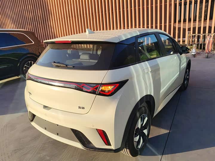 BYD Dolphin 2025 2025款 智驾版 420km 自由版