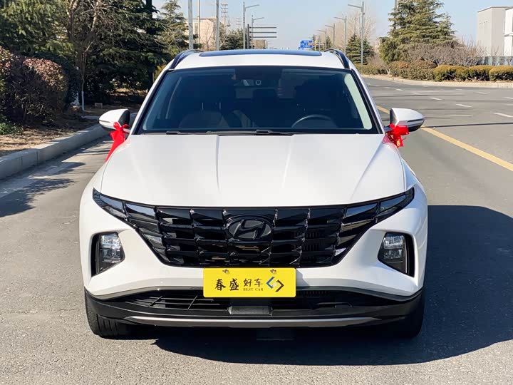 Hyundai Tucson L 2023 2023款 途胜L 1.5T 自动两驱GLX精英版