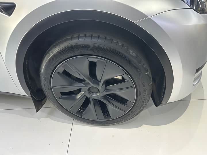 Tesla Model Y 2024 2024款 后轮驱动版
