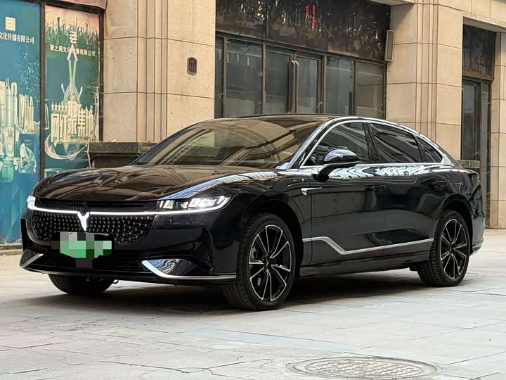 Voyah Passion 2024 2024款 PHEV 四驱超长续航旗舰版