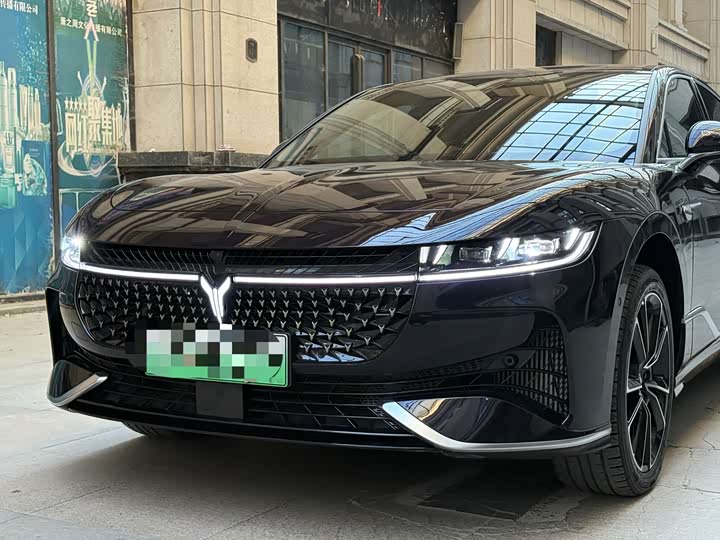 Voyah Passion 2024 2024款 PHEV 四驱超长续航旗舰版