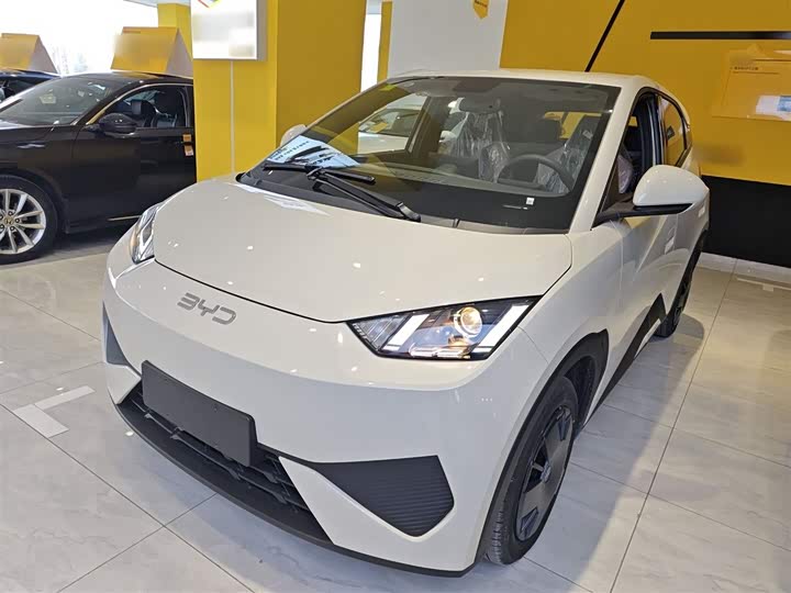 BYD Seagull 2025 2025款 智驾版 305km 活力版